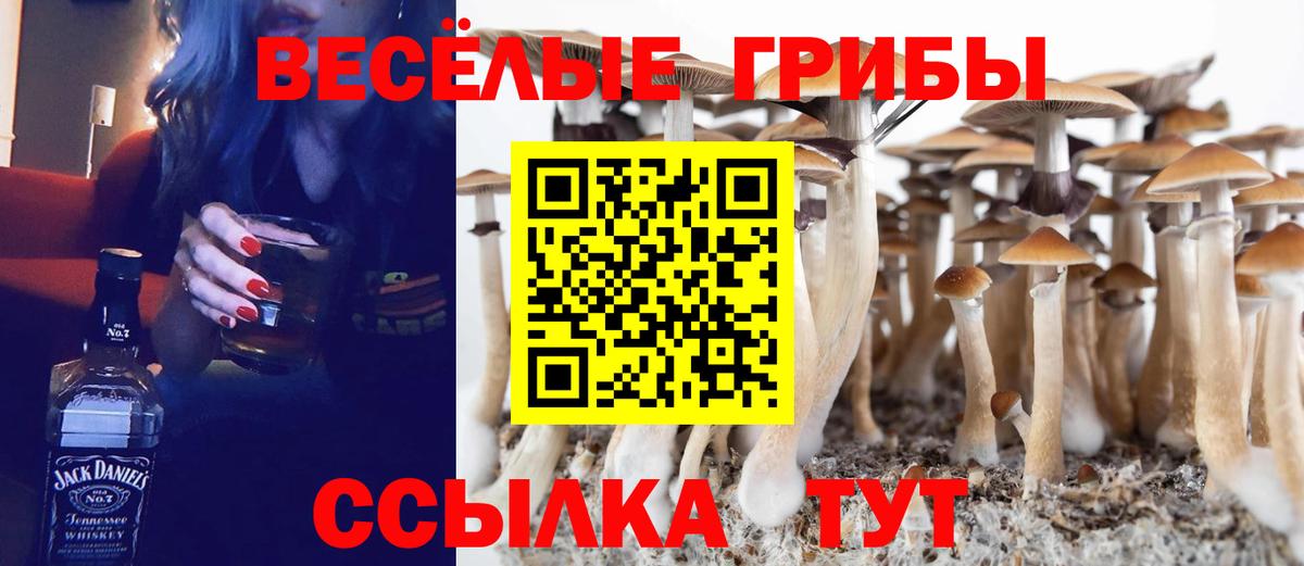 Псилоцибиновые грибы GOLDEN TEACHER  Галлюциногенные грибы мухоморы  Вход с VPN  Солнечногорск 