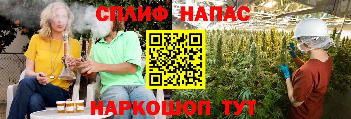 Конопля Amnesia  Вход с VPN  Солнечногорск  Каннабис Amnesia 